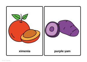 Fruits Flashcards A4-2