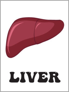 HUMAN BODY SYSTEMS-4